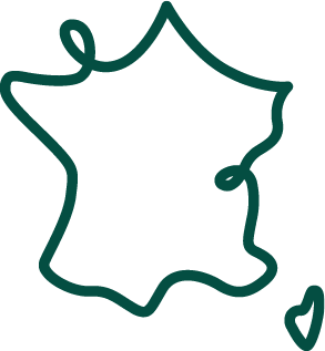 ic&ocirc;ne d'une carte de France