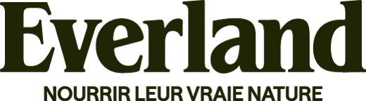 logo Everland