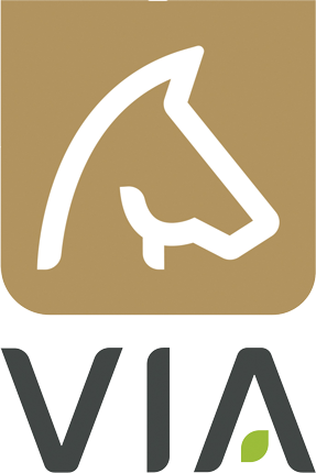 logo VIA