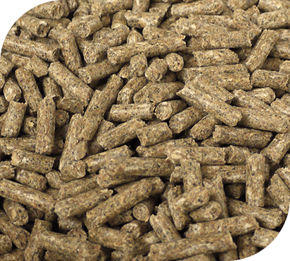 aliment sous forme de granulés