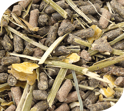 aliment sous forme de mash fibré